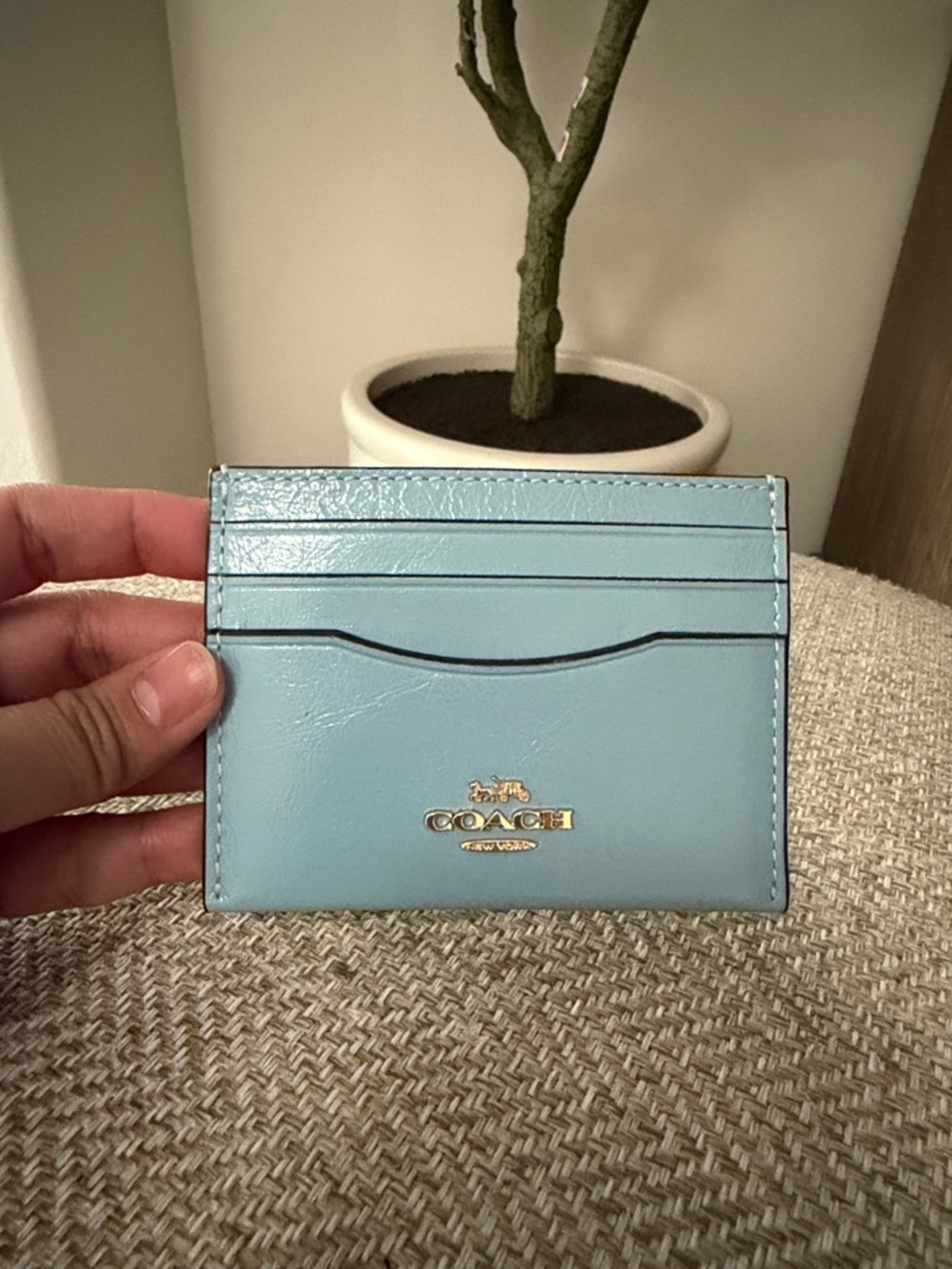 NWT Coach Leather Cardholder with Gold Logo